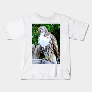 Red Tailed Hawk Kids T-Shirt